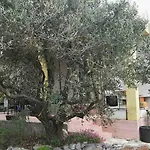 Zeljana Holiday home
