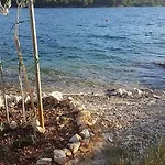 Zeljana