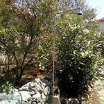 Casa de Férias Zeljana Kaprije