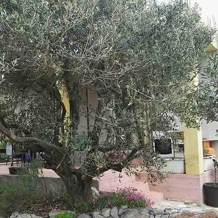 Zeljana Holiday home