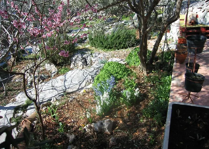 Zeljana Holiday home Kaprije